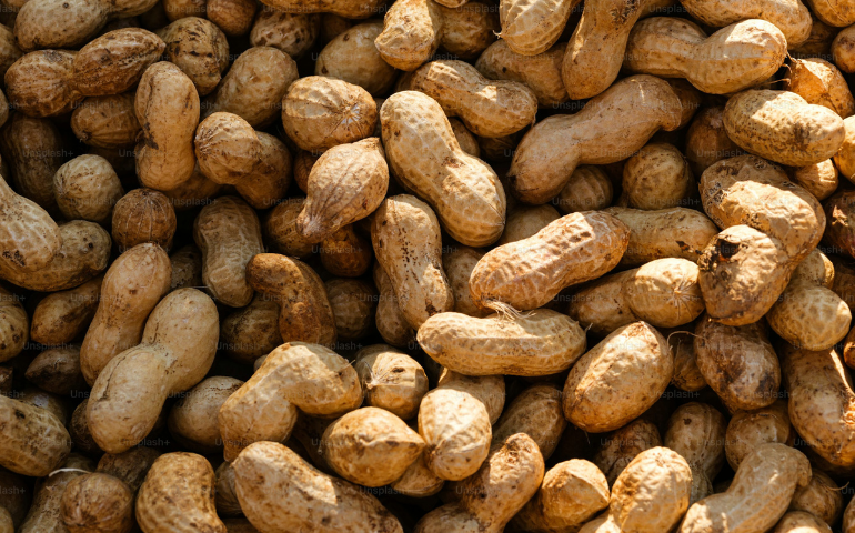 Peanuts